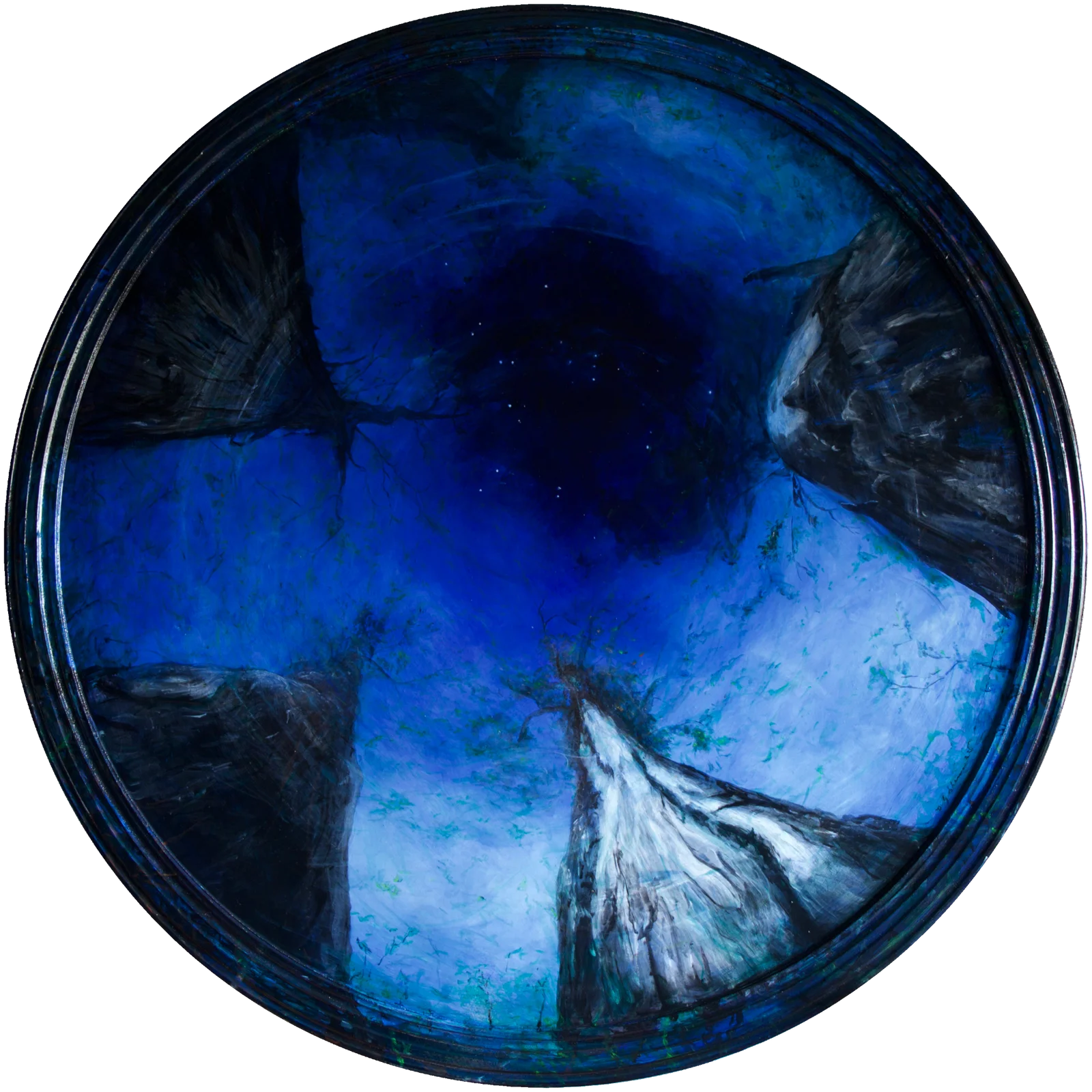 Sentience view 1