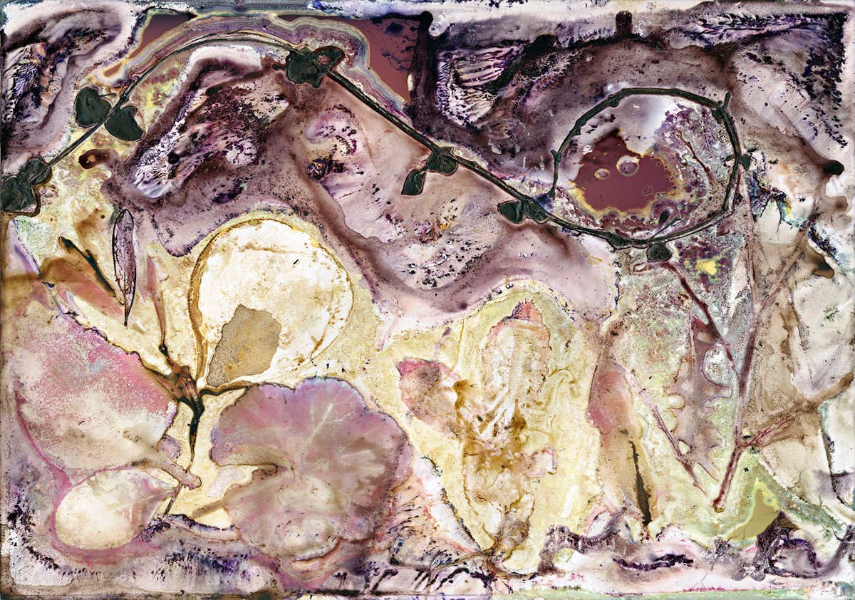 Habitat V
