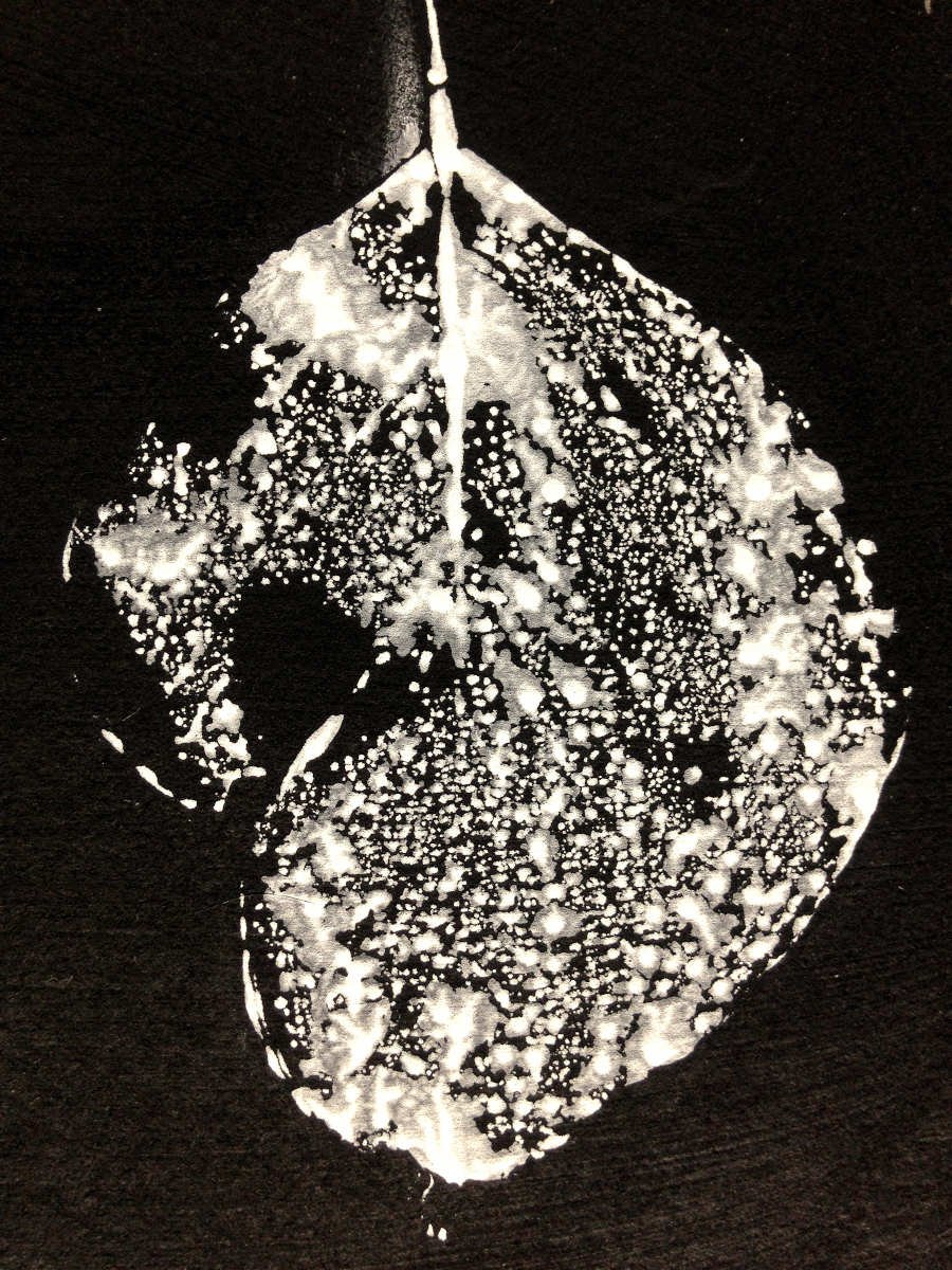 Leaf/Land/Lung #4