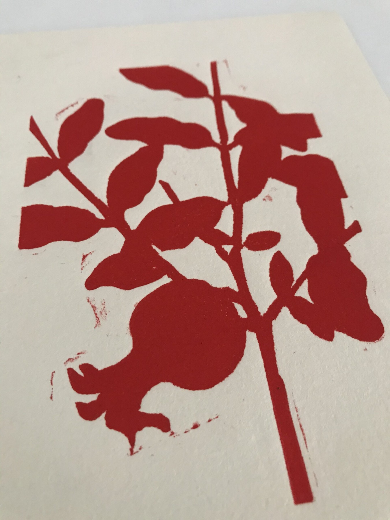 Bloodlines (Pomegranate) view 2