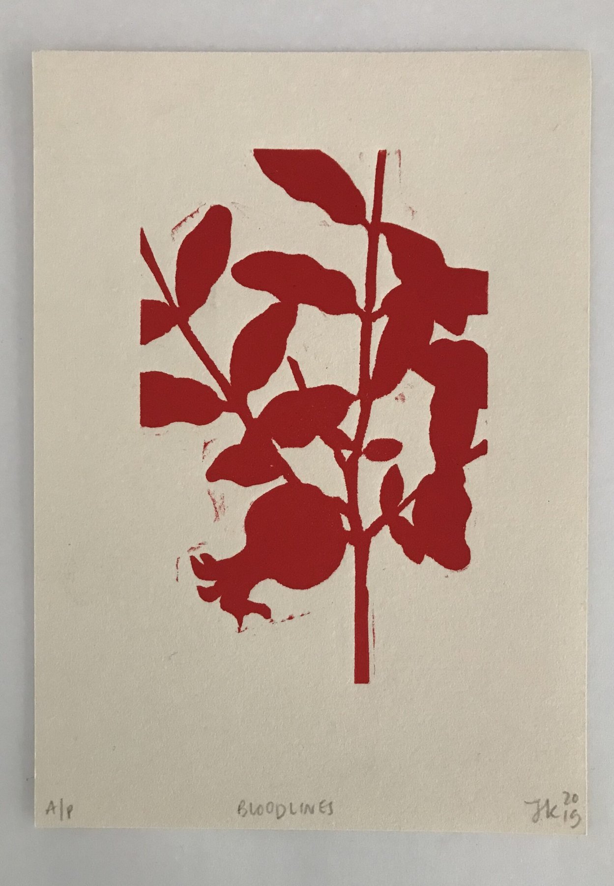Bloodlines (Pomegranate) view 1