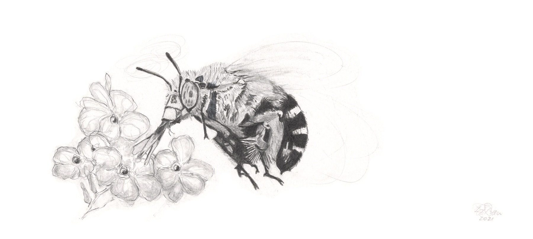 Bees-2 (from the 2021 Beehive Frames series)