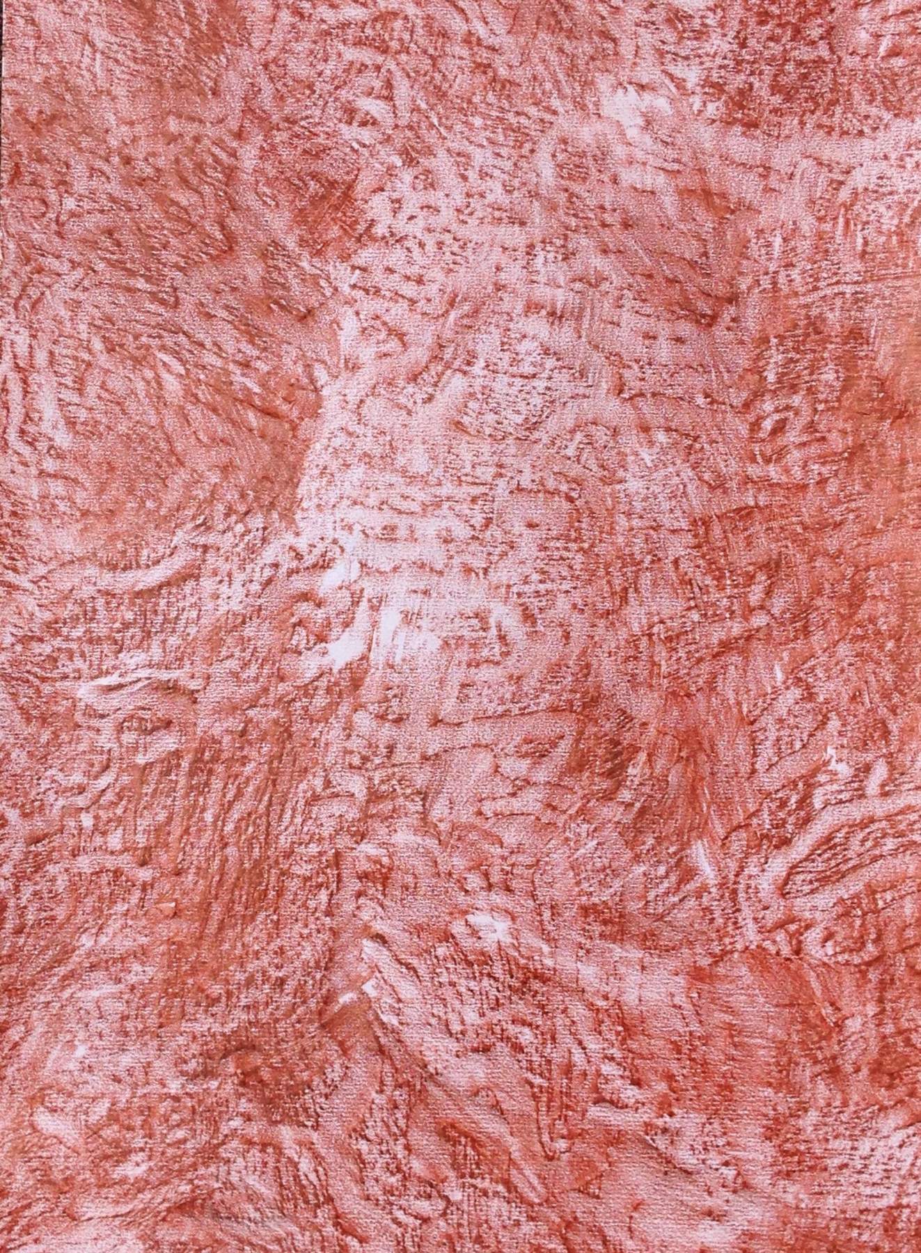 Drawing with Termite and Tree 1 (Sienna)