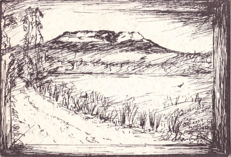 Quamby Bluff Drawing for Animal Rescue