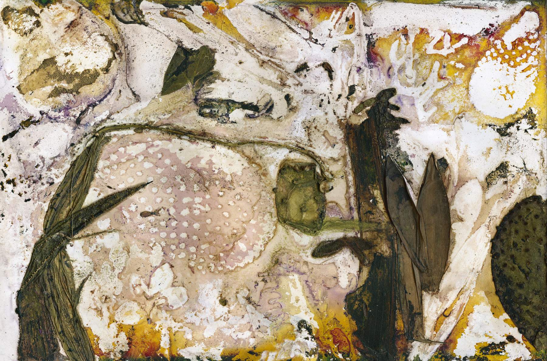 Colours and Shapes, Elisabeth (Strathpine)